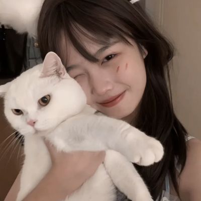 BB贝博平台登录app下载手机版